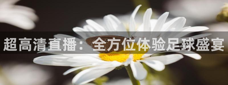 超高清直播：全方位体验足球盛宴