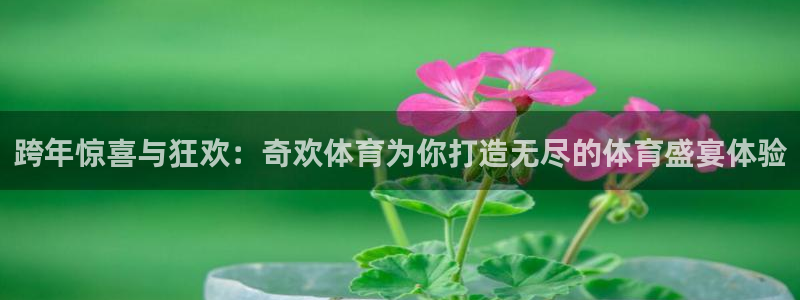 跨年惊喜与狂欢：奇欢体育为你打造无尽的体育盛宴体验