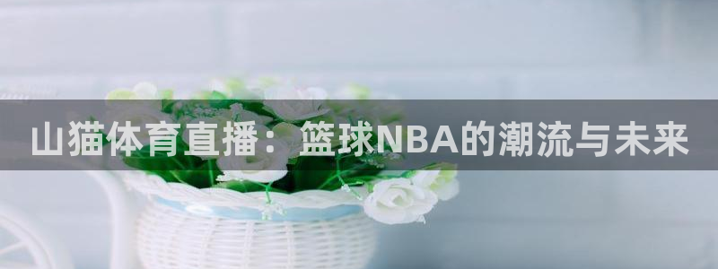 山猫体育直播：篮球NBA的潮流与未来